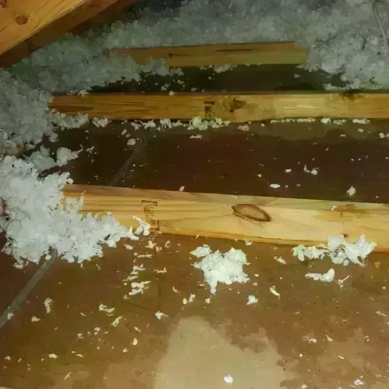 Attic Water Damage in Cowarts, AL