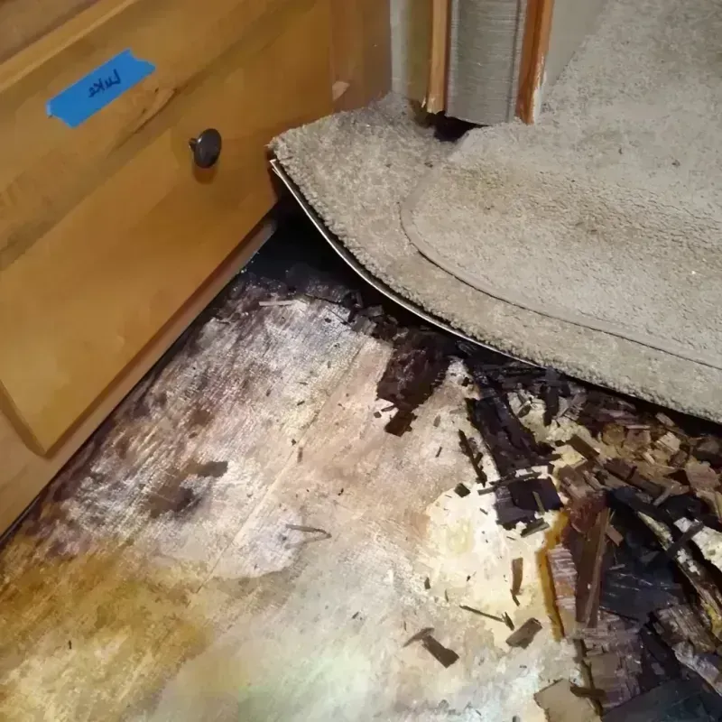 Wood Floor Water Damage in Cowarts, AL